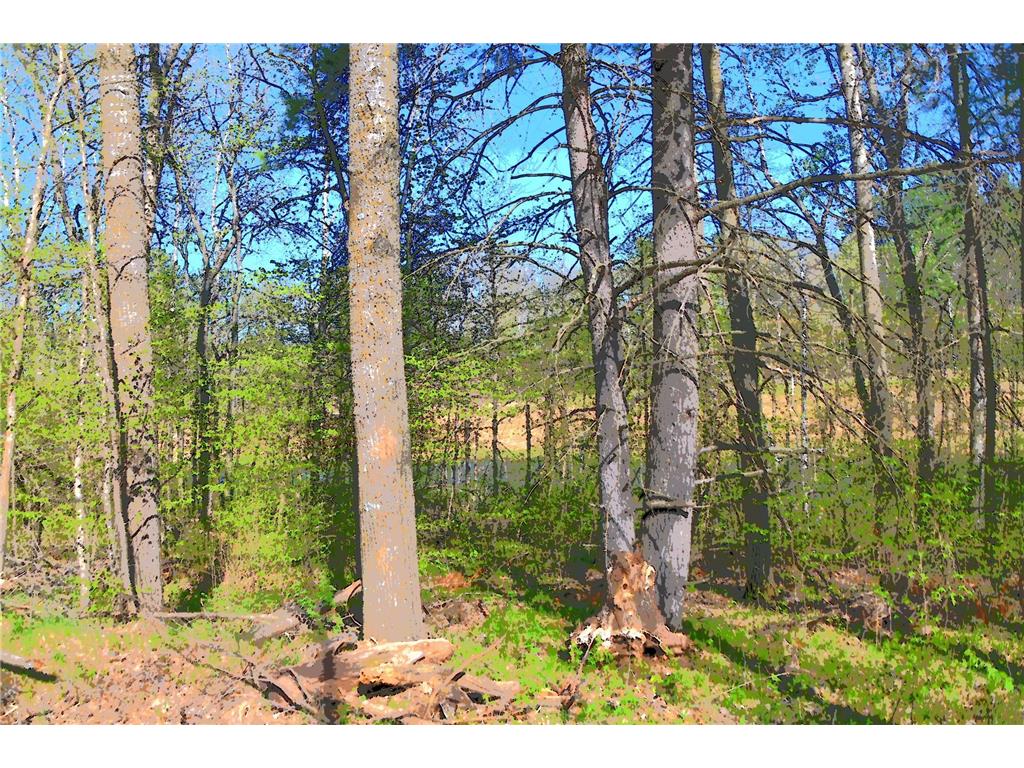 39906 Pine Island Pt Drive Fawn Lake Twp MN 56438 7034477 image24