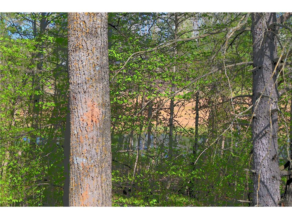 39906 Pine Island Pt Drive Fawn Lake Twp MN 56438 7034477 image25