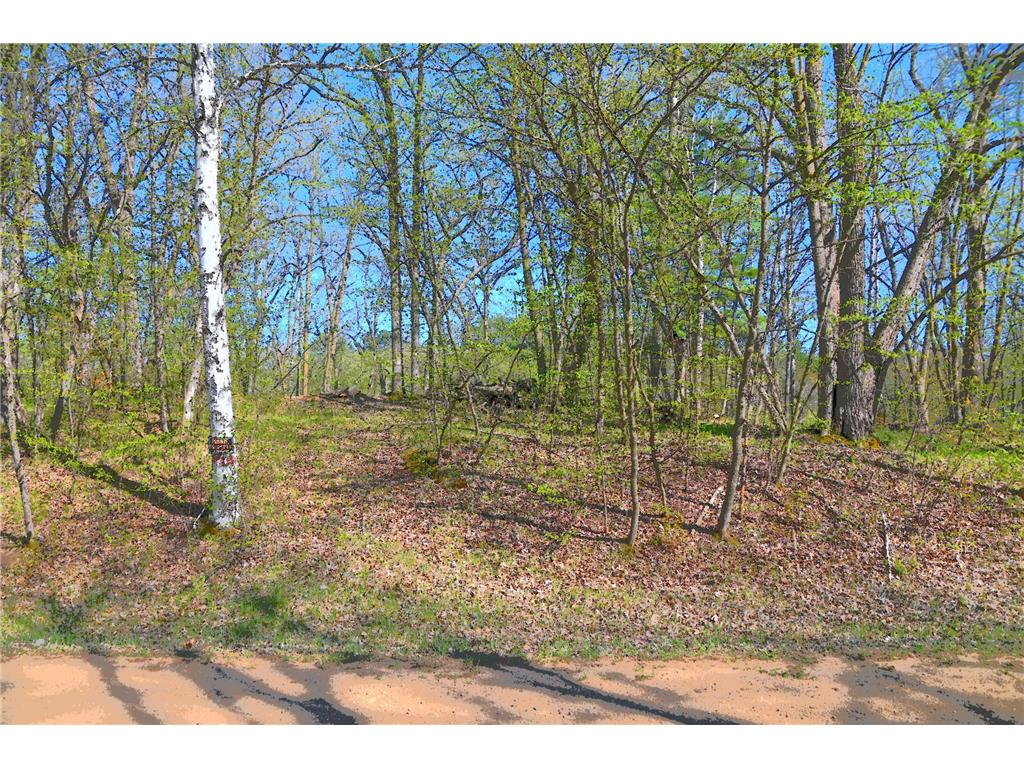 39906 Pine Island Pt Drive Fawn Lake Twp MN 56438 7034477 image26