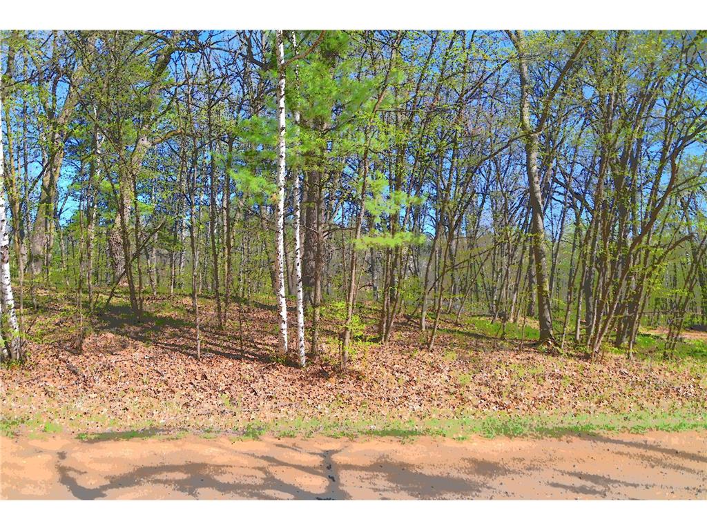 39906 Pine Island Pt Drive Fawn Lake Twp MN 56438 7034477 image27