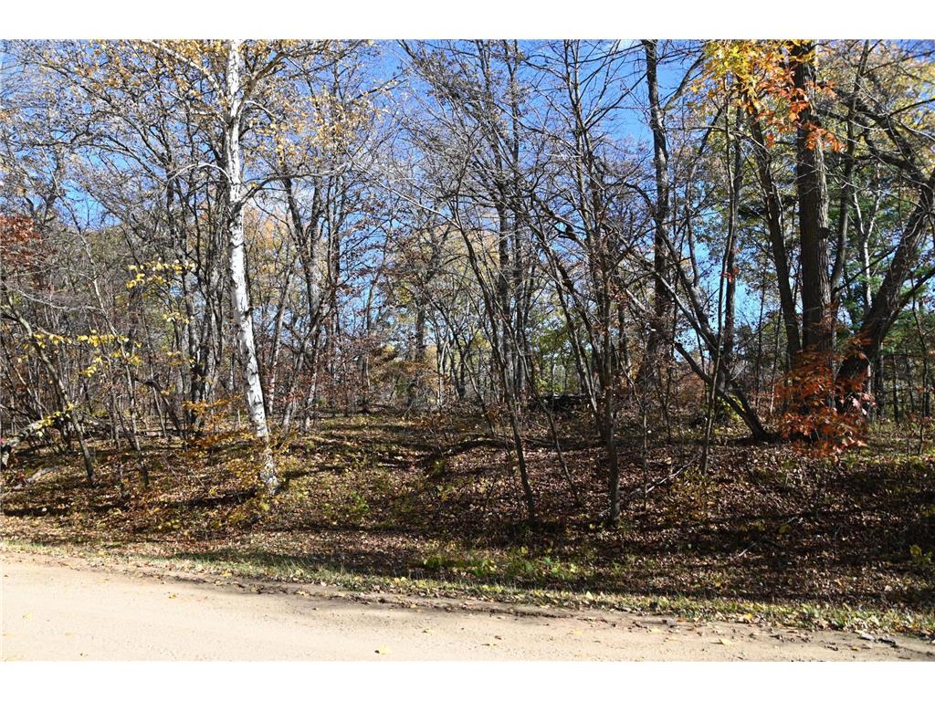 39906 Pine Island Pt Drive Fawn Lake Twp MN 56438 7034477 image3