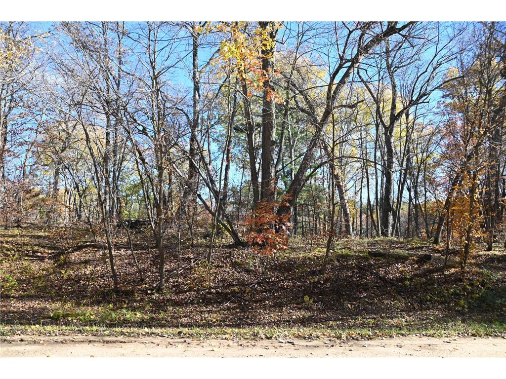 39906 Pine Island Pt Drive Fawn Lake Twp MN 56438 7034477 image4