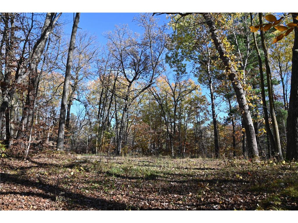 39906 Pine Island Pt Drive Fawn Lake Twp MN 56438 7034477 image6
