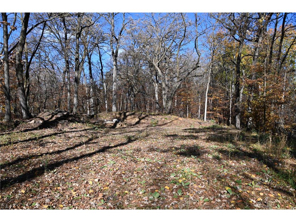 39906 Pine Island Pt Drive Fawn Lake Twp MN 56438 7034477 image8