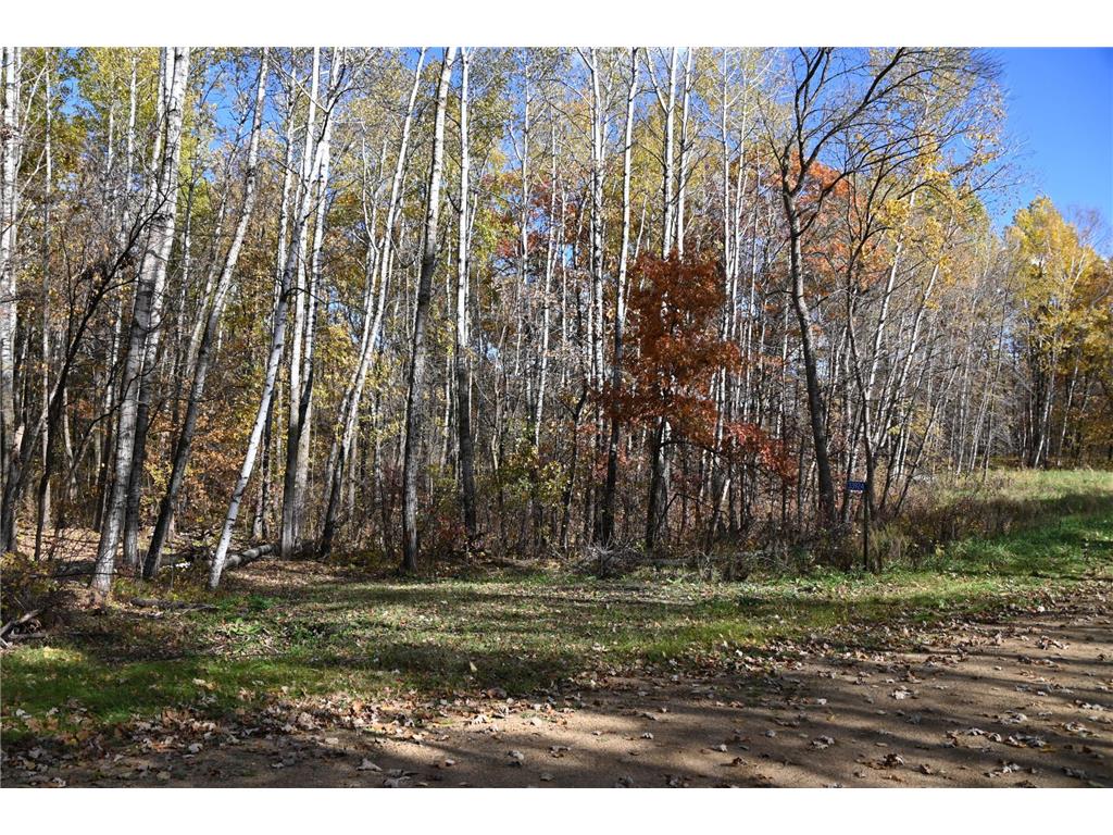 39924 Oriole Court Moran Twp MN 56438 - Pine Island 7034472 image1