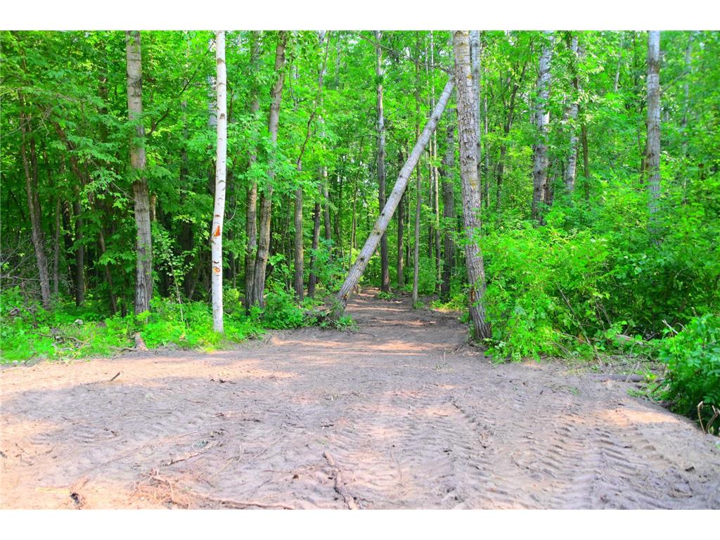 39924 Oriole Court Moran Twp MN 56438 - Pine Island 7034472 image10