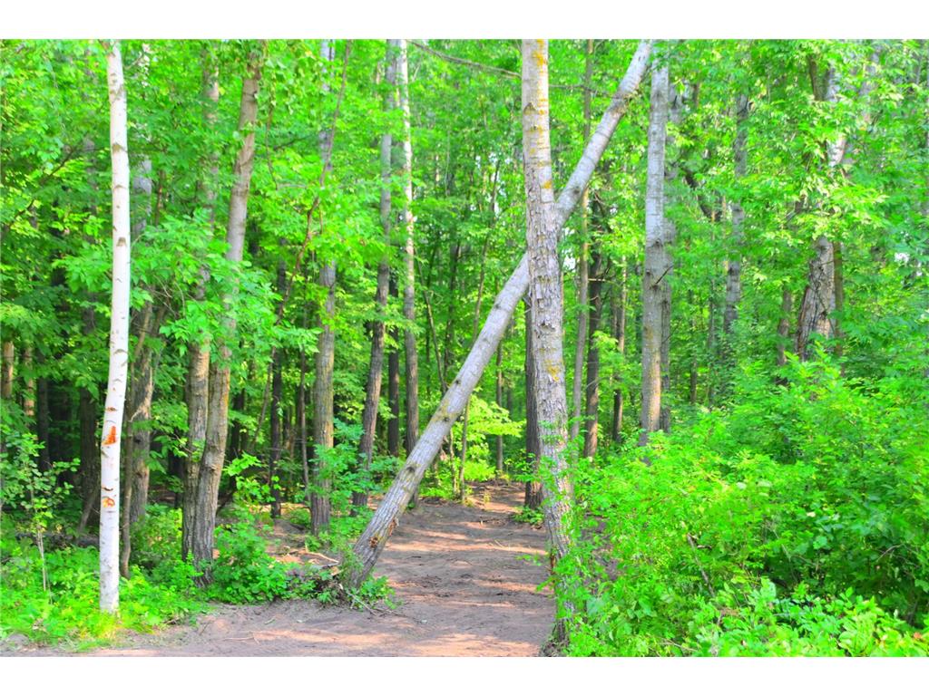 39924 Oriole Court Moran Twp MN 56438 - Pine Island 7034472 image11