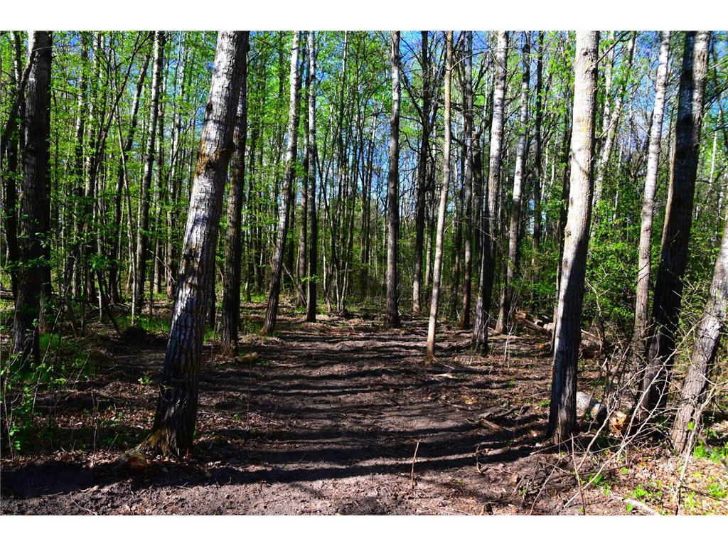 39924 Oriole Court Moran Twp MN 56438 - Pine Island 7034472 image12