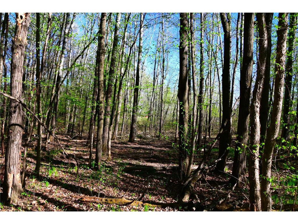 39924 Oriole Court Moran Twp MN 56438 - Pine Island 7034472 image13