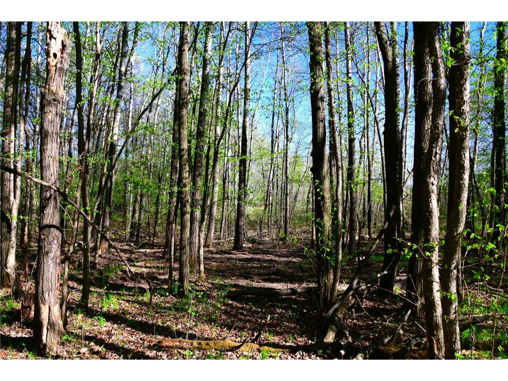 39924 Oriole Court Moran Twp MN 56438 - Pine Island 7034472 image15