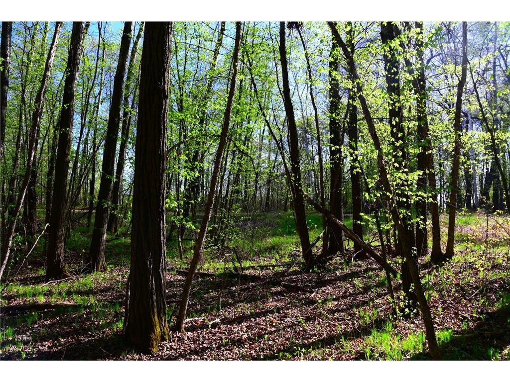 39924 Oriole Court Moran Twp MN 56438 - Pine Island 7034472 image16