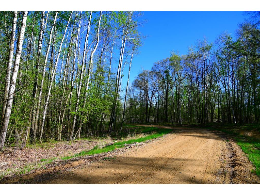 39924 Oriole Court Moran Twp MN 56438 - Pine Island 7034472 image17