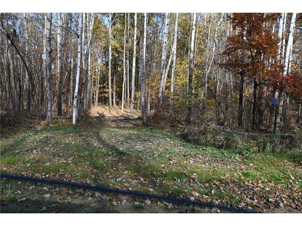 39924 Oriole Court Moran Twp MN 56438 - Pine Island 7034472 image2