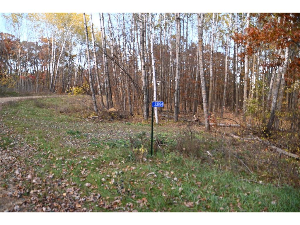 39924 Oriole Court Moran Twp MN 56438 - Pine Island 7034472 image3