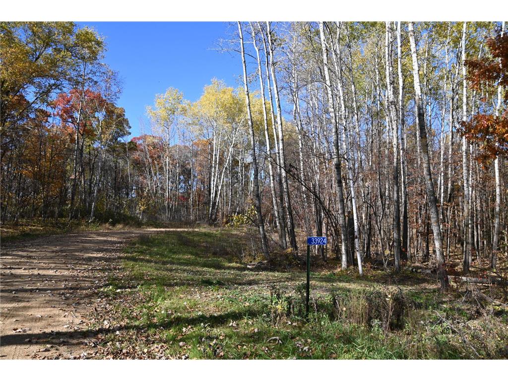 39924 Oriole Court Moran Twp MN 56438 - Pine Island 7034472 image5