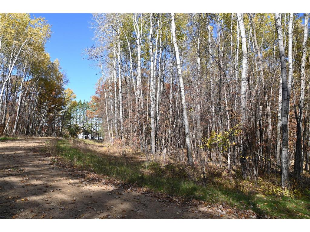 39924 Oriole Court Moran Twp MN 56438 - Pine Island 7034472 image6