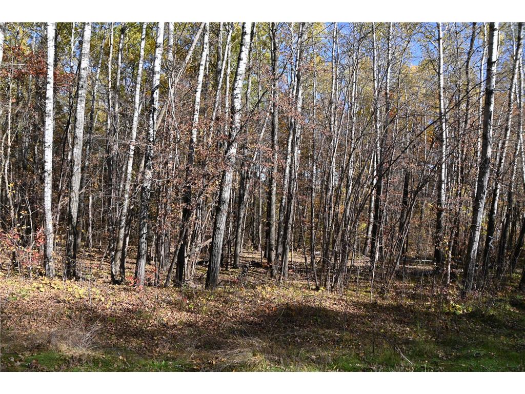 39924 Oriole Court Moran Twp MN 56438 - Pine Island 7034472 image7