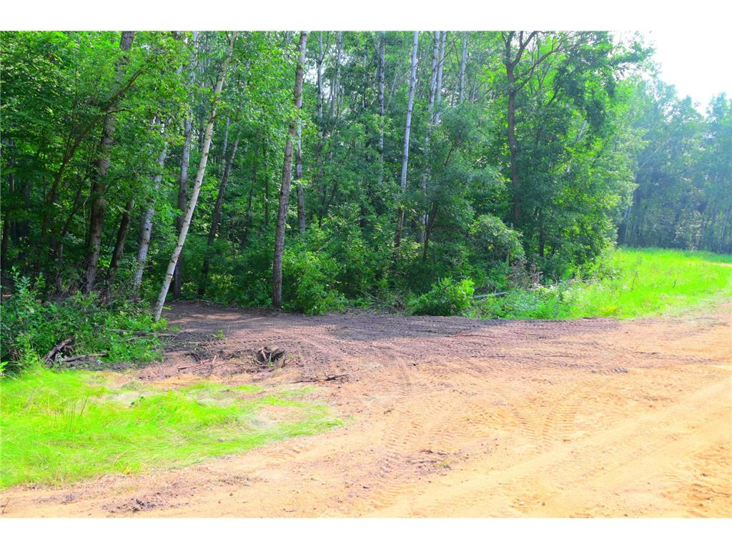 39924 Oriole Court Moran Twp MN 56438 - Pine Island 7034472 image8