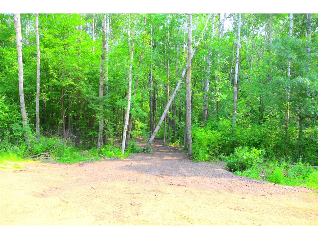 39924 Oriole Court Moran Twp MN 56438 - Pine Island 7034472 image9