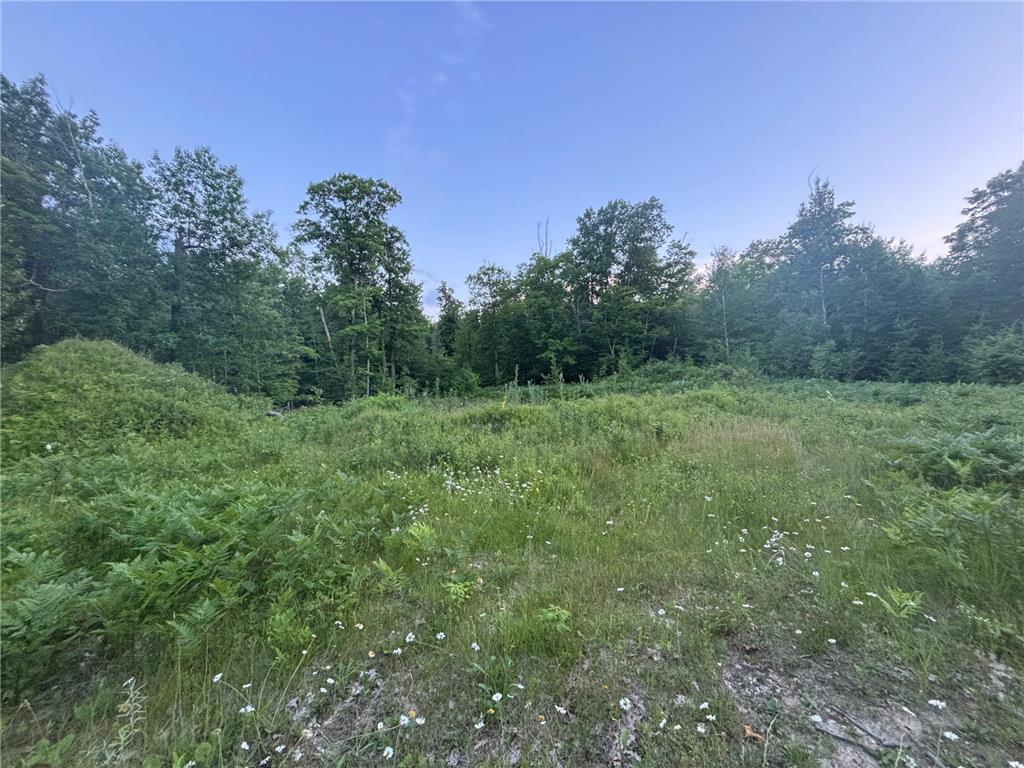 39987 Cass Line Road Lakeport Twp MN 56461 7104200 image1