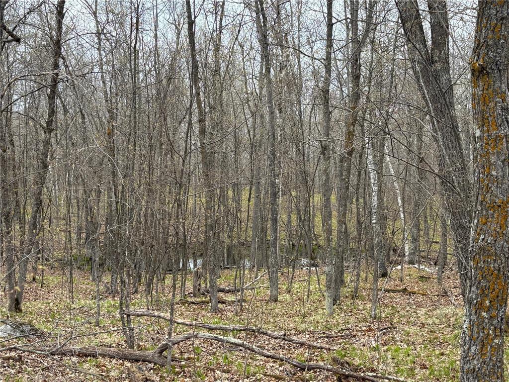 39987 Cass Line Road Lakeport Twp MN 56461 7104200 image10