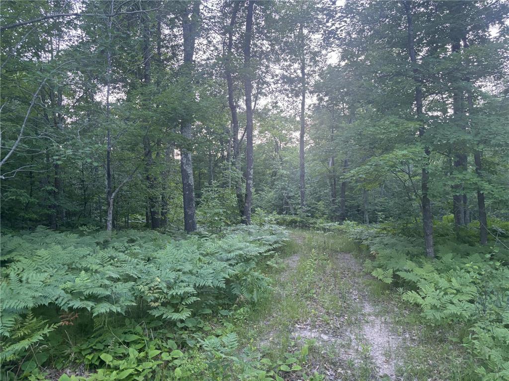 39987 Cass Line Road Lakeport Twp MN 56461 7104200 image13