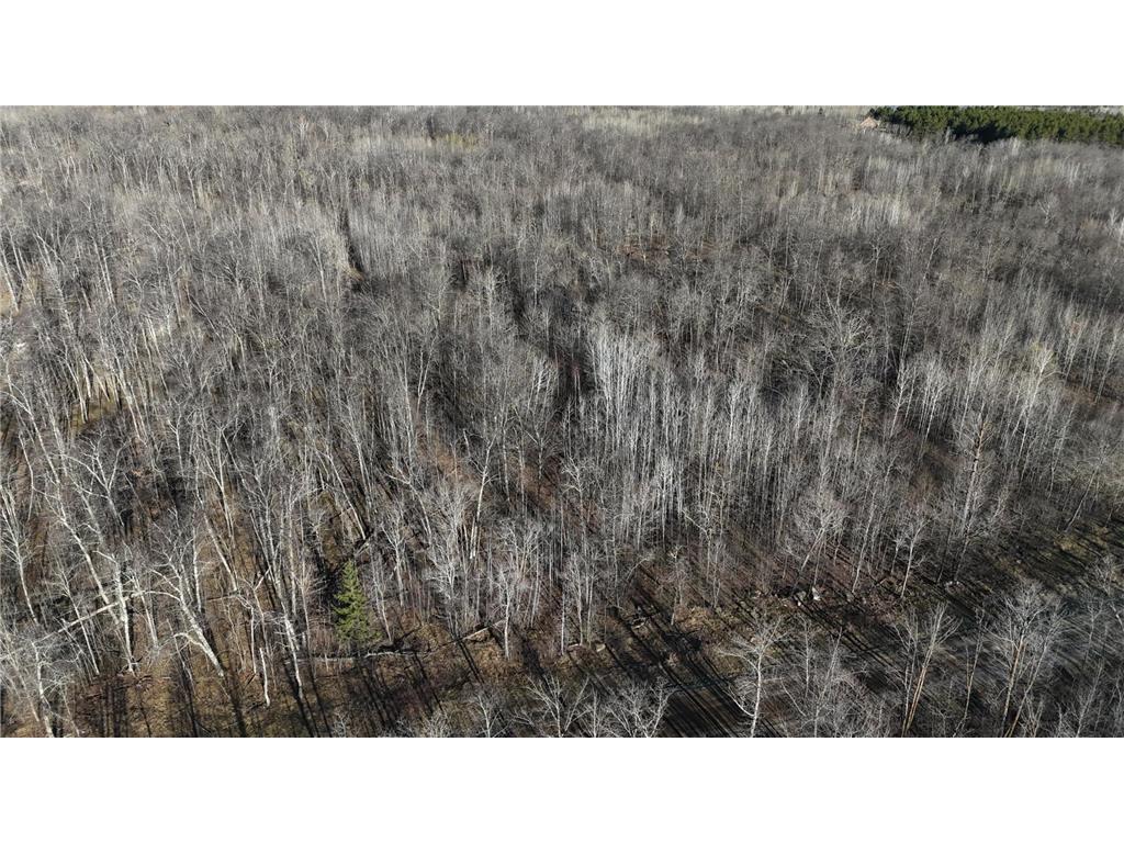 39987 Cass Line Road Lakeport Twp MN 56461 7104200 image14