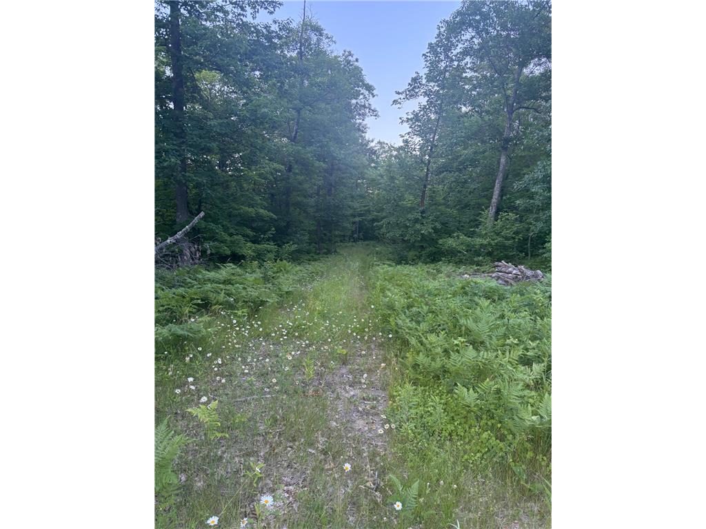 39987 Cass Line Road Lakeport Twp MN 56461 7104200 image2