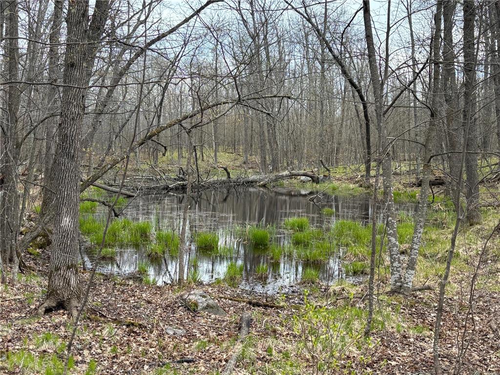 39987 Cass Line Road Lakeport Twp MN 56461 7104200 image3