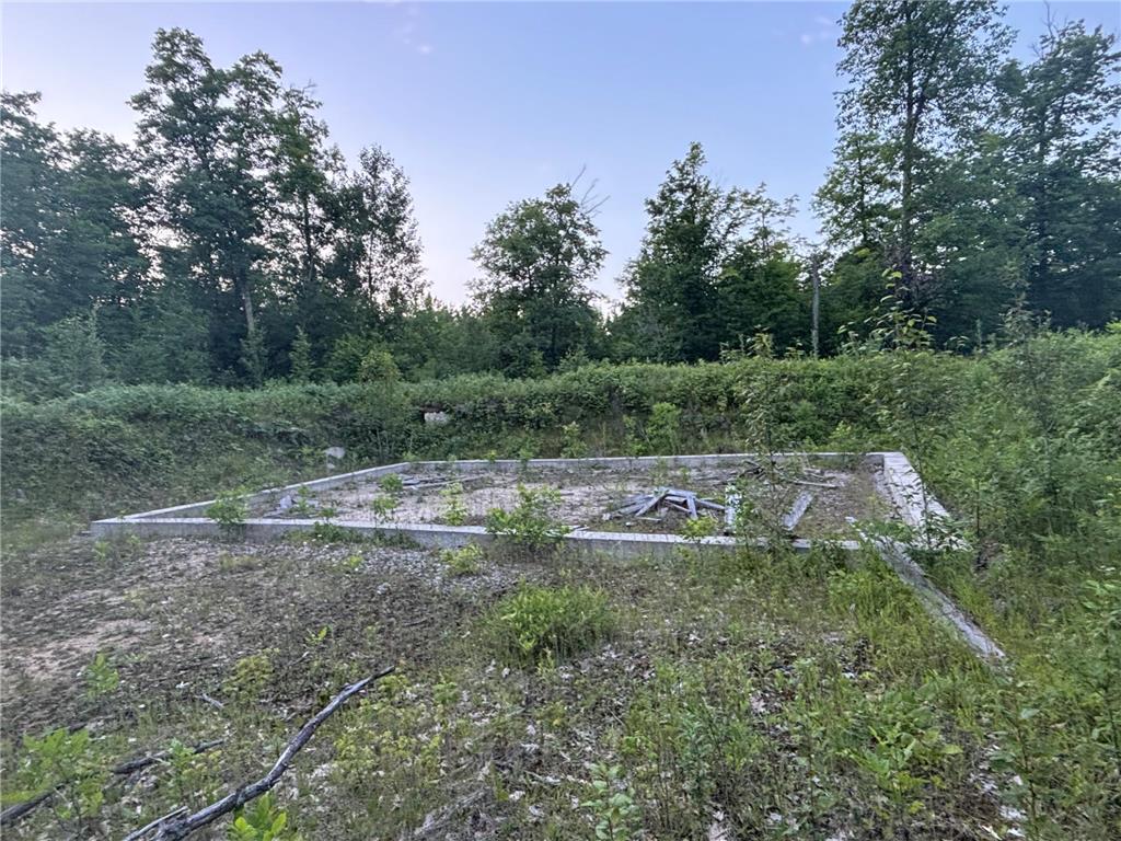 39987 Cass Line Road Lakeport Twp MN 56461 7104200 image4