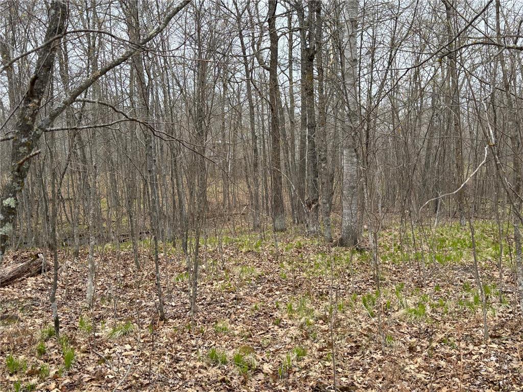 39987 Cass Line Road Lakeport Twp MN 56461 7104200 image7