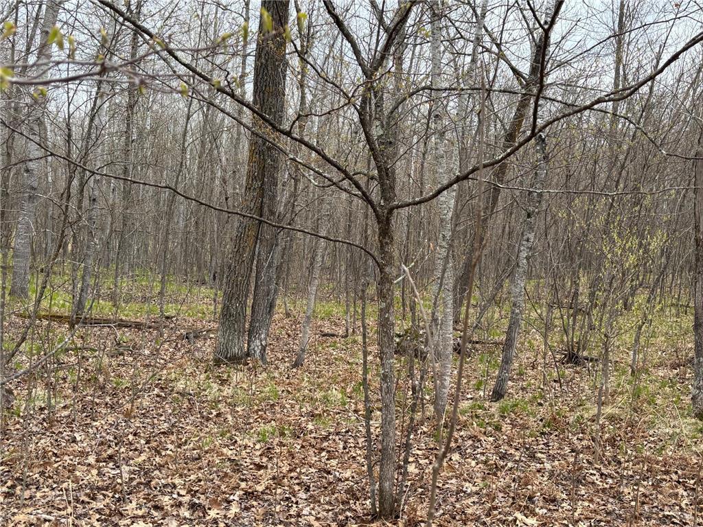 39987 Cass Line Road Lakeport Twp MN 56461 7104200 image8