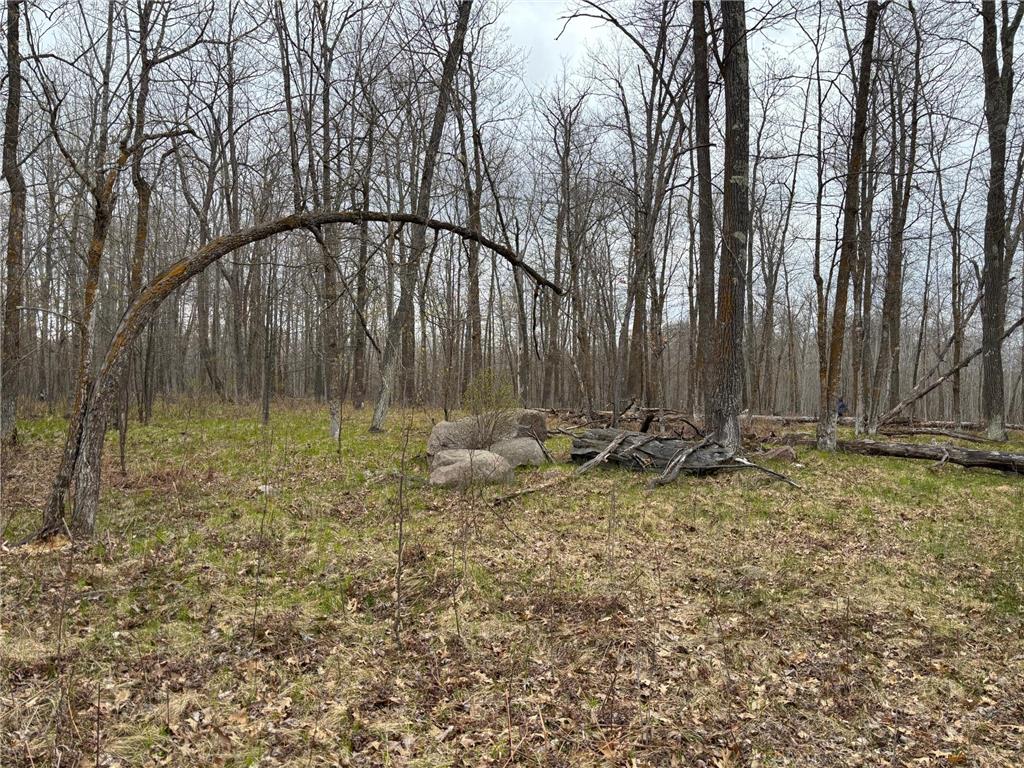 39987 Cass Line Road Lakeport Twp MN 56461 7104200 image9