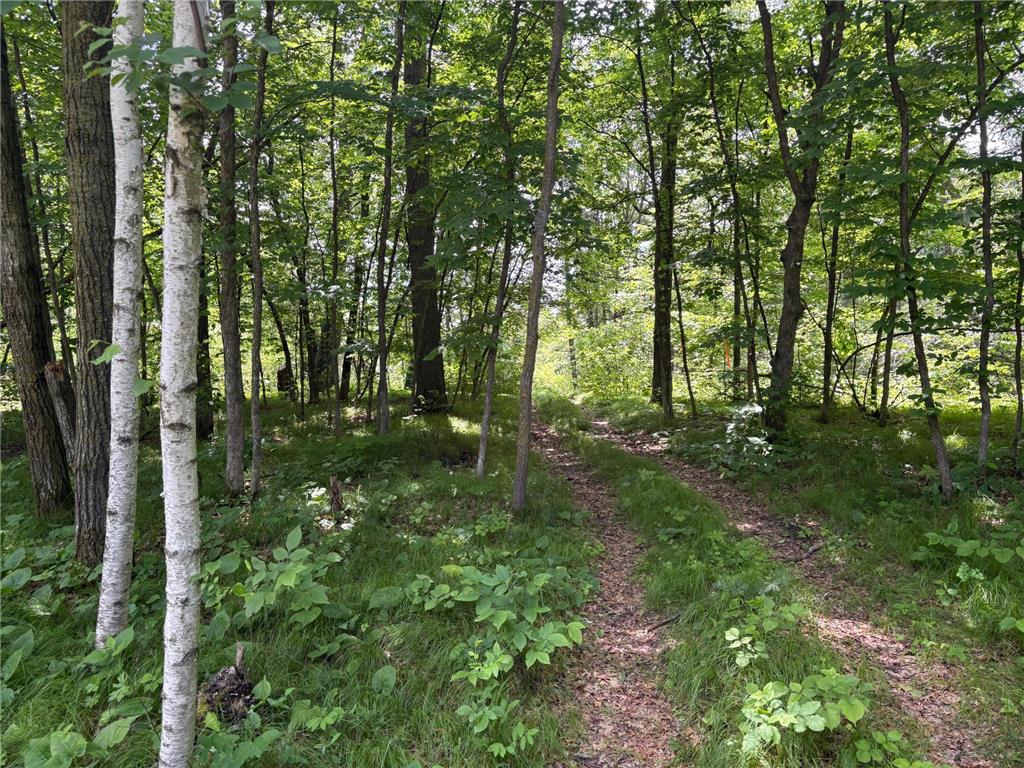 399xx Oriole Court Browerville MN 56438 6741617 image10