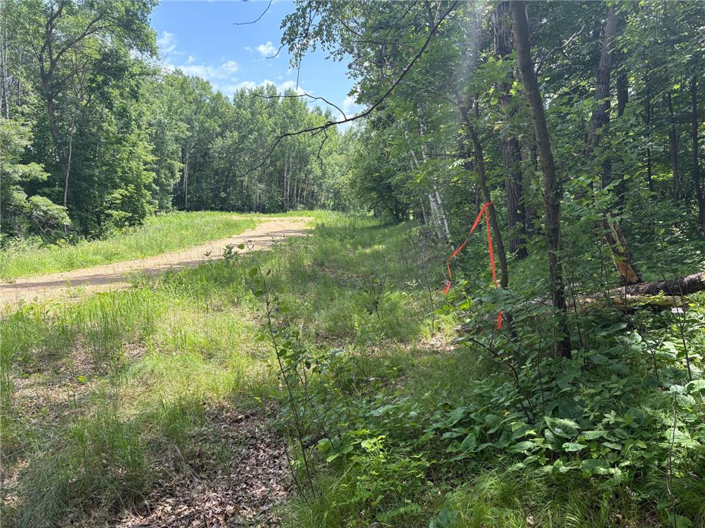 399xx Oriole Court Browerville MN 56438 6741617 image11