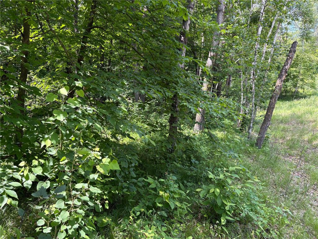 399xx Oriole Court Browerville MN 56438 6741617 image6