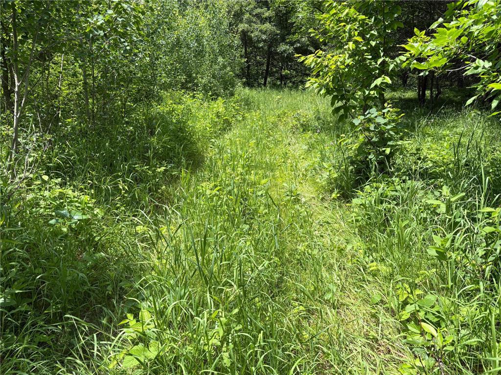 399xx Oriole Court Browerville MN 56438 6741617 image7