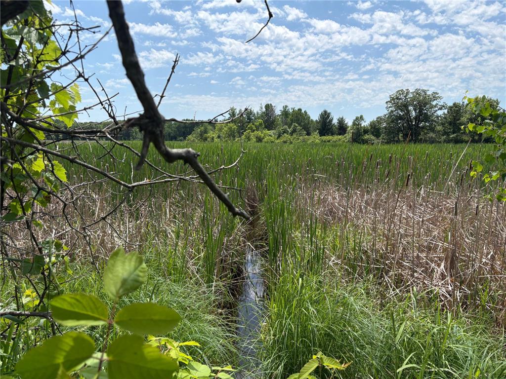 399xx Oriole Court Browerville MN 56438 6741617 image8