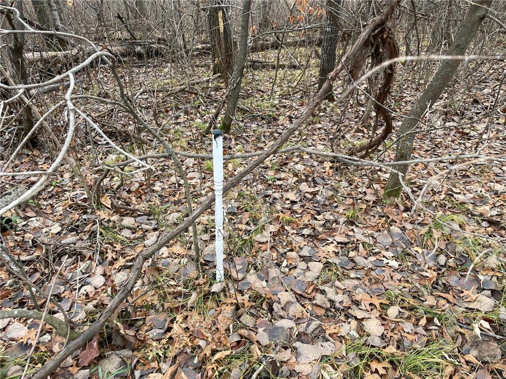 39xxx Osage Drive Browerville MN 56438 - Little Pine Lake 6457836 image10