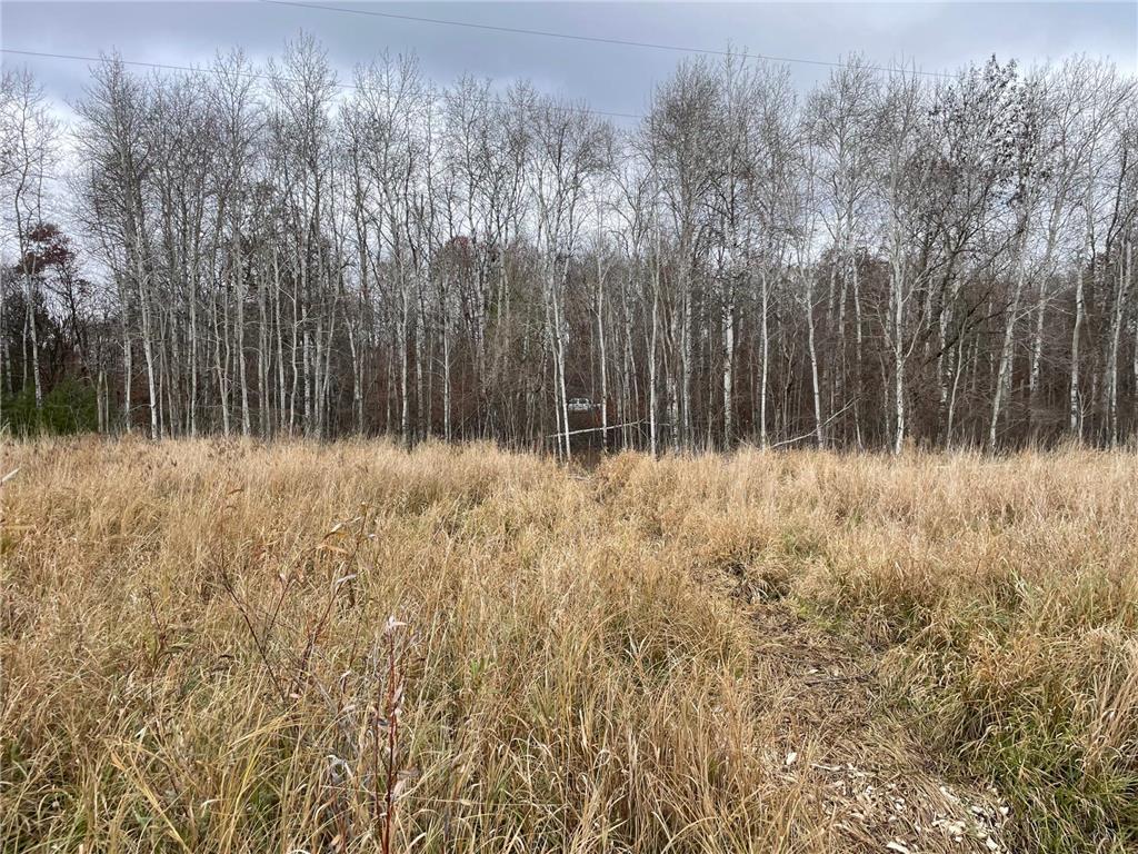 39xxx Osage Drive Browerville MN 56438 - Little Pine Lake 6457836 image11