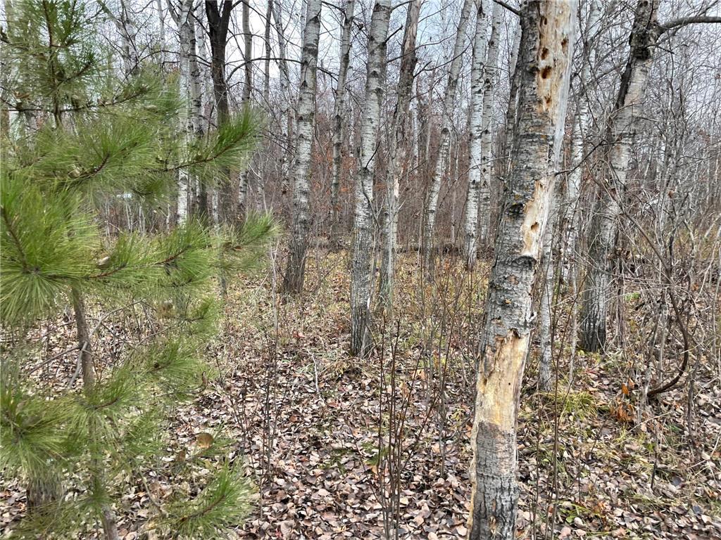 39xxx Osage Drive Browerville MN 56438 - Little Pine Lake 6457836 image14