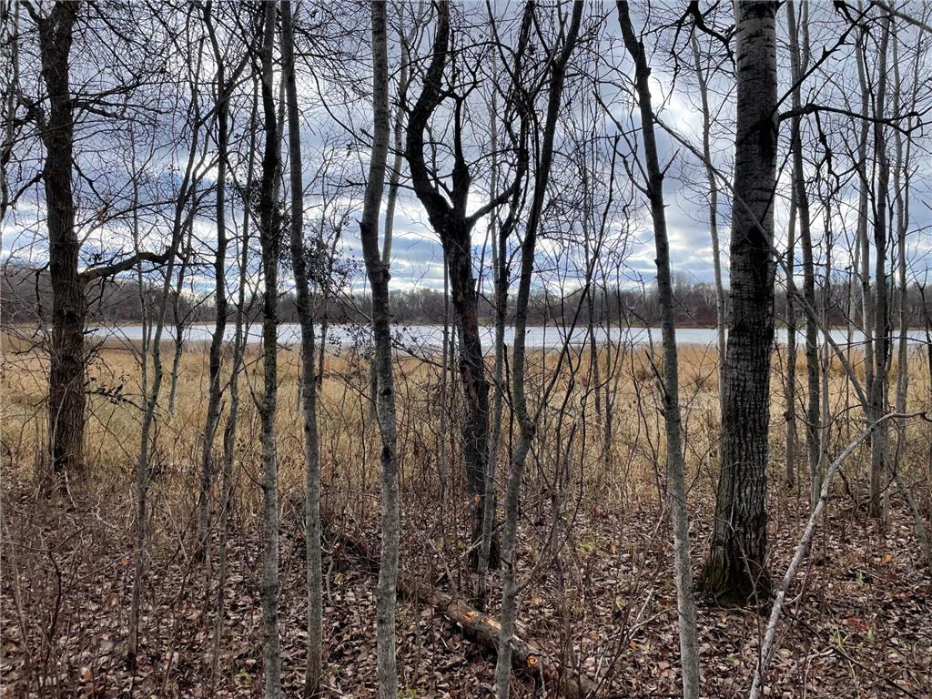 39xxx Osage Drive Browerville MN 56438 - Little Pine Lake 6457836 image16
