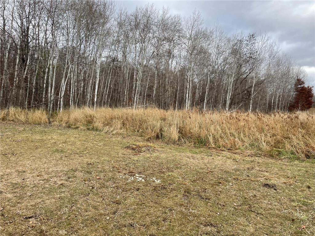 39xxx Osage Drive Browerville MN 56438 - Little Pine Lake 6457836 image17