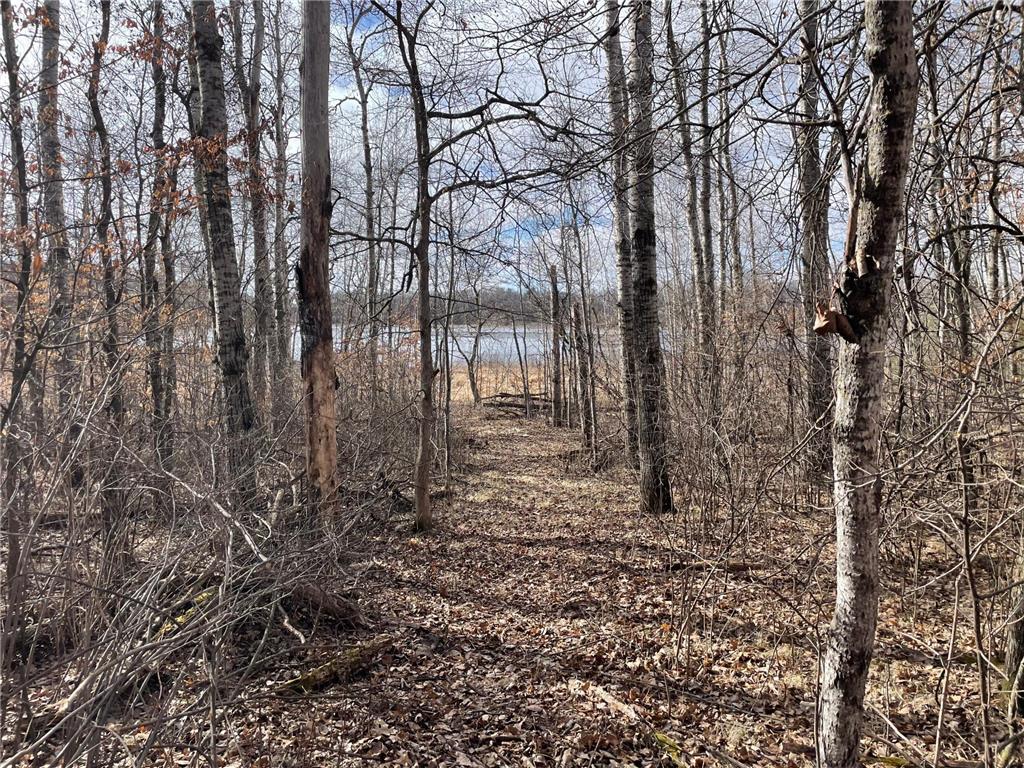 39xxx Osage Drive Browerville MN 56438 - Little Pine Lake 6457836 image5