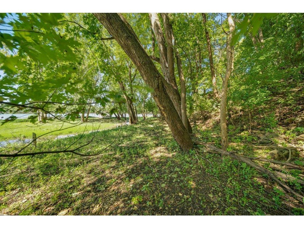 3XX 2nd Avenue Newport MN 55055 - Mississippi 6584622 image13