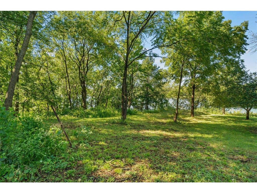 3XX 2nd Avenue Newport MN 55055 - Mississippi 6584622 image17