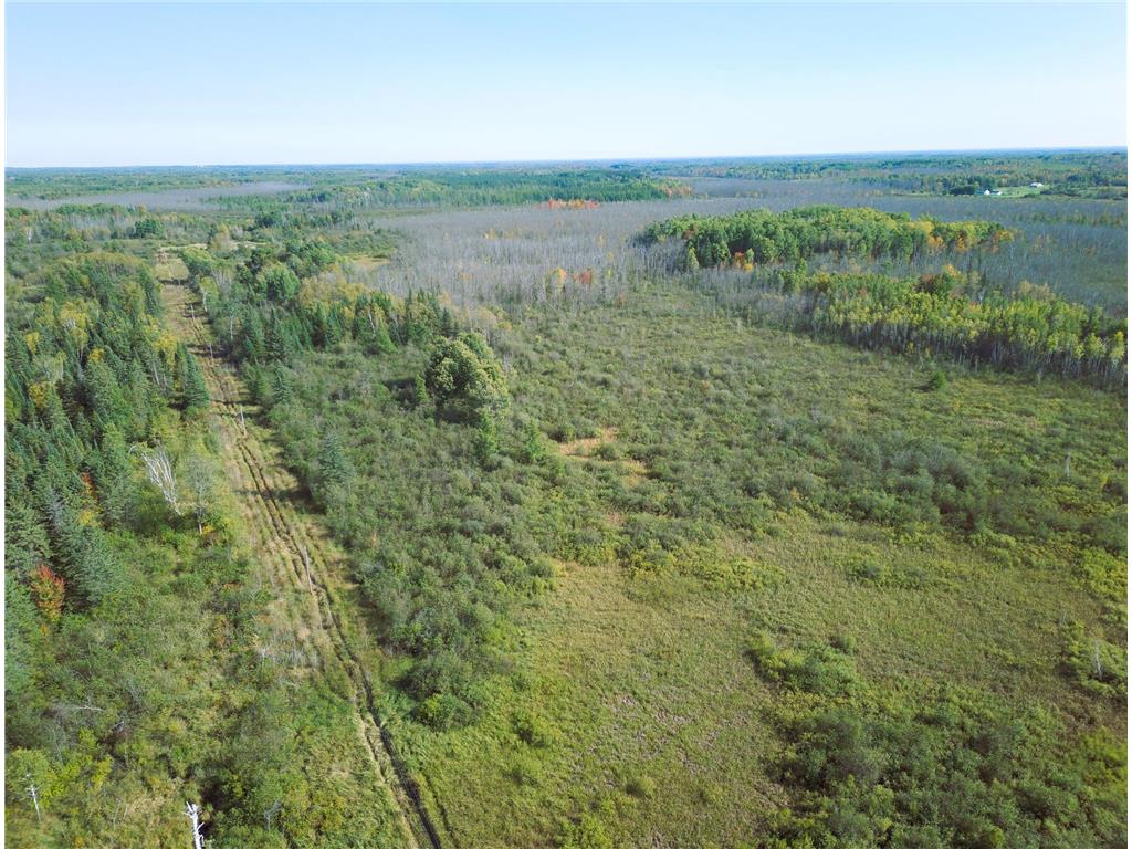 3XXX County Rd 132 Kalevala Twp MN 55757 6795005 image4