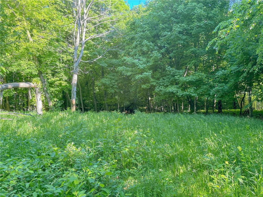 3XXXX 407th Street Dent MN 56528 - East Silent 7092941 image10
