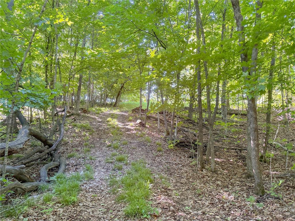 3XXXX 407th Street Dent MN 56528 - East Silent 7092941 image12