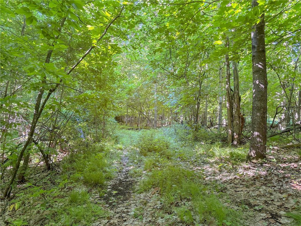 3XXXX 407th Street Dent MN 56528 - East Silent 7092941 image13